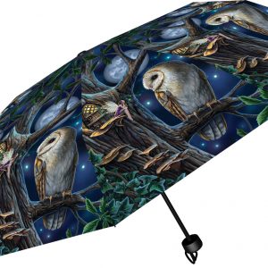 Lisa Parker Fairy and Owl Umbrella