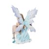 Melody 12cm - Image 3