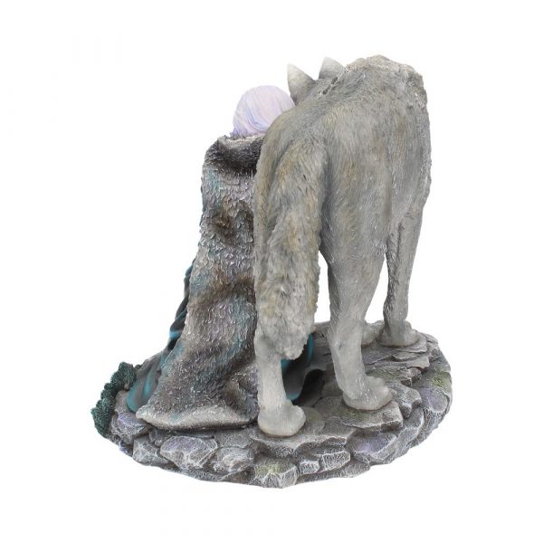 Protector (Limited Edition) (AS) 25cm - Image 3