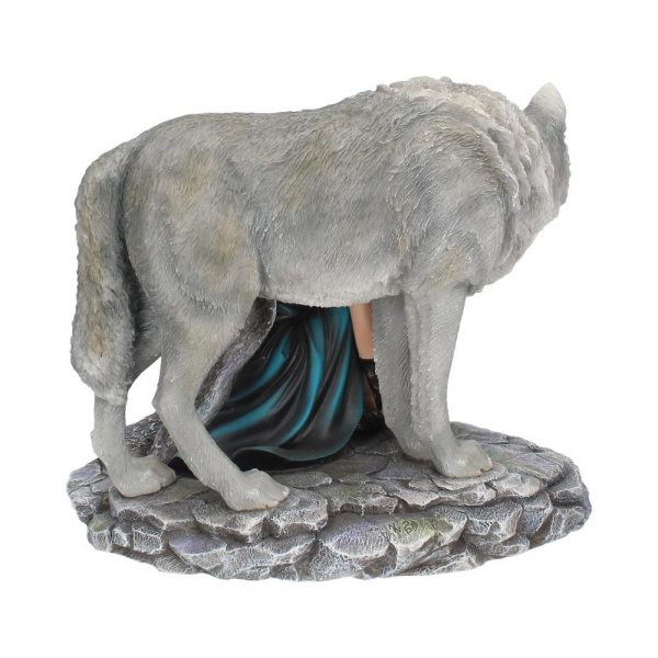 Protector (Limited Edition) (AS) 25cm - Image 4