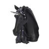 Jewelled Midnight (S) 15cm - Image 3