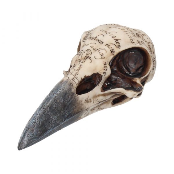 Edgar's Raven Skull 21cm - Image 2