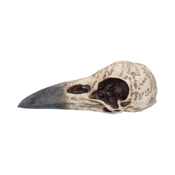 Edgar's Raven Skull 21cm - Image 3