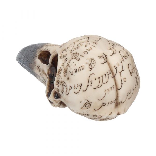Edgar's Raven Skull 21cm - Image 4