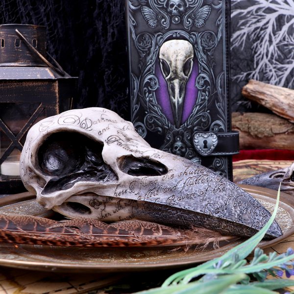 Edgar's Raven Skull 21cm - Image 5