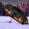 Witching Hour Umbrella (LP) - Image 2