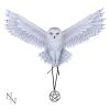 Awaken your Magic (AS) 45cm