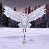 Awaken your Magic (AS) 45cm - Image 2