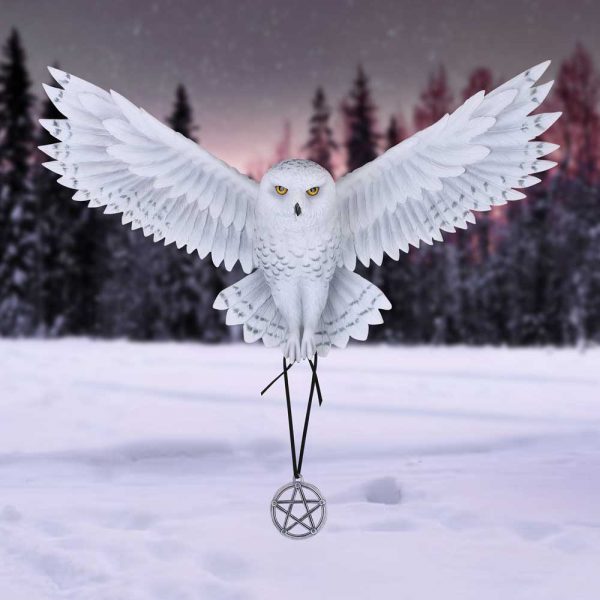 Awaken your Magic (AS) 45cm - Image 2