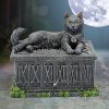 Fortune's Watcher Tarot Box 17cm - Image 5