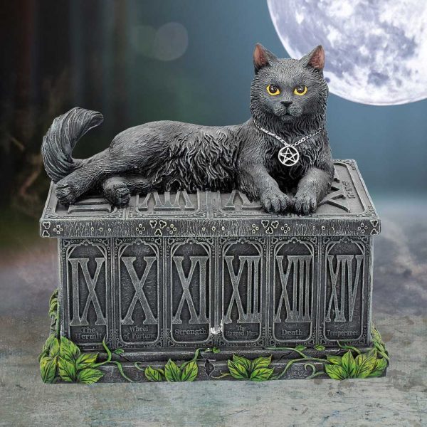 Fortune's Watcher Tarot Box 17cm - Image 5