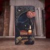 Witching Hour Embossed Purse (LP) 18.5cm - Image 5