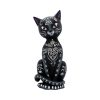 Mystic Kitty 26cm Kitty Kats