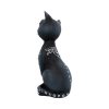 Mystic Kitty 26cm Kitty Kats - Image 3