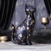 Felis 26cm - Image 5
