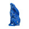 Lepus 26cm - Image 4