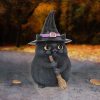Lucky Black Cat 12cm Snap Cats - Image 5