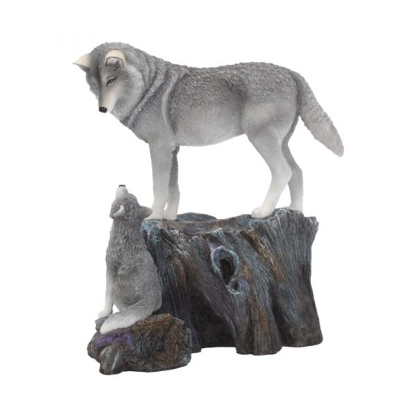Guidance 25cm (LP) - Image 2