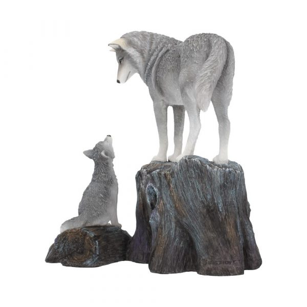 Guidance 25cm (LP) - Image 3