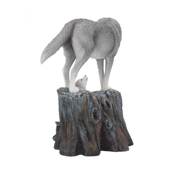 Guidance 25cm (LP) - Image 4