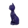 Mystic Kitty Purple 26cm Kitty Kats - Image 2