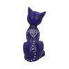 Mystic Kitty Purple 26cm Kitty Kats - Image 3