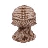 Cthulhu Skull (JR) 20cm - Image 3