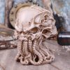 Cthulhu Skull (JR) 20cm - Image 5