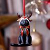Reindeer Cat Hanging Ornament (LP) 9cm - Image 5