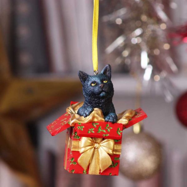 Present Cat Hanging Ornament (LP) 9cm - Image 5