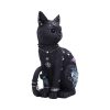Nine Lives 22cm - Image 4