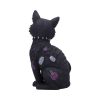 Bad to the Bone 22cm - Image 3