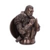Assassin's Creed Valhalla Eivor Bust (Bronze) 31cm - Image 4