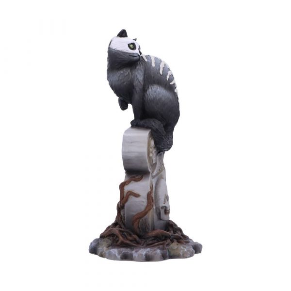 Skull Cat by Martin Hanford 15cm - Image 4