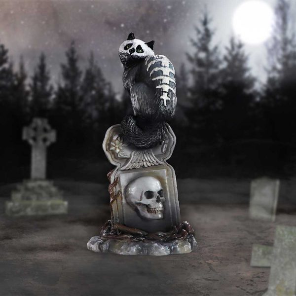 Skull Cat by Martin Hanford 15cm - Image 5