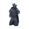 Batman & Catwoman Bust 30cm - Image 3