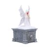 Only Love Remains Box (AS) 20.3cm - Image 4