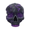 Rose Geode Skull - Image 2
