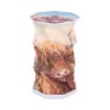 Highland Cow Foldable Lamp 21cm PopGlow