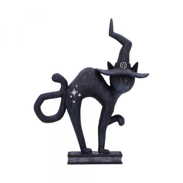 Hex Spell Cats