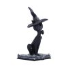 Conjure Spell Cats - Image 4