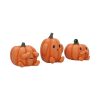 Three Wise Pumpkins See No, Hear No, Speak No - Image 4