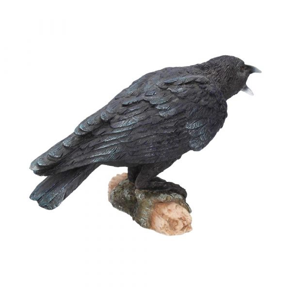Raven's Call 20cm - Image 4