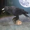 Raven's Call 20cm - Image 5