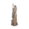 Merlin Bronze 47cm (Large) - Image 2