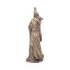 Merlin Bronze 47cm (Large) - Image 3