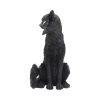 Salem 32.5cm - Image 2
