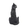 Salem 32.5cm - Image 4