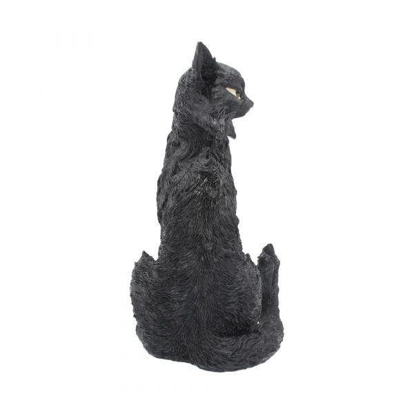 Salem 32.5cm - Image 4