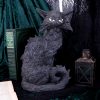 Salem 32.5cm - Image 5